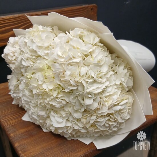 Букет из 9 белых гортензий