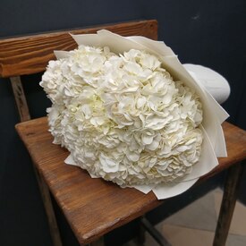 Букет из 9 белых гортензий