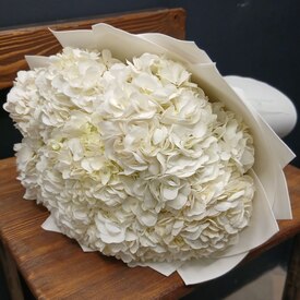 Букет из 9 белых гортензий