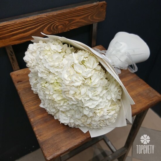 Букет из 9 белых гортензий