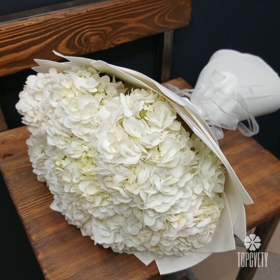 Букет из 9 белых гортензий