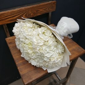 Букет из 9 белых гортензий