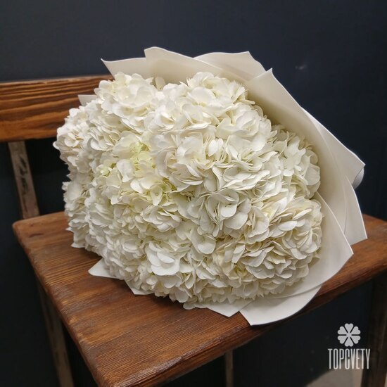 Букет из 9 белых гортензий