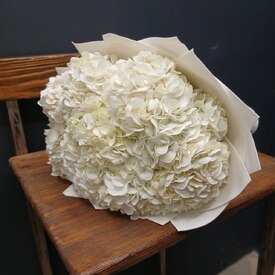 Букет из 9 белых гортензий