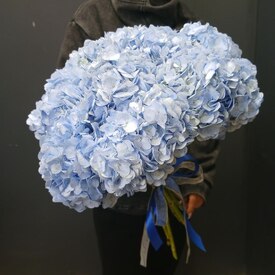 Букет из 9 голубых гортензий с лентой