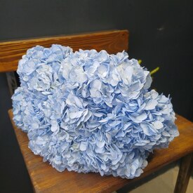 Букет из 9 голубых гортензий с лентой