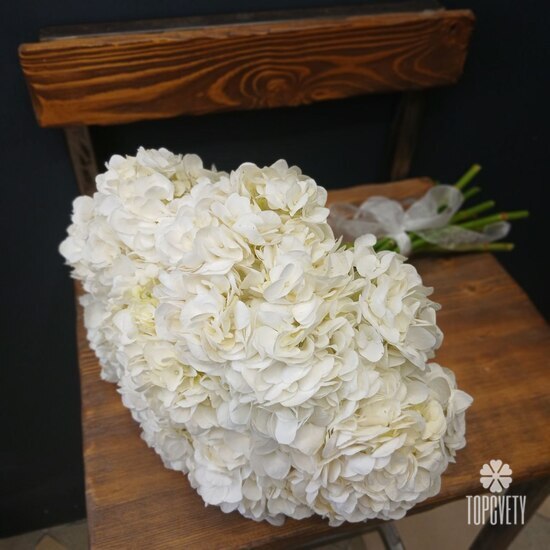 Букет из 9 белых гортензий 