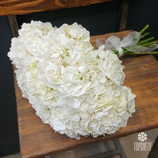 Букет из 9 белых гортензий 