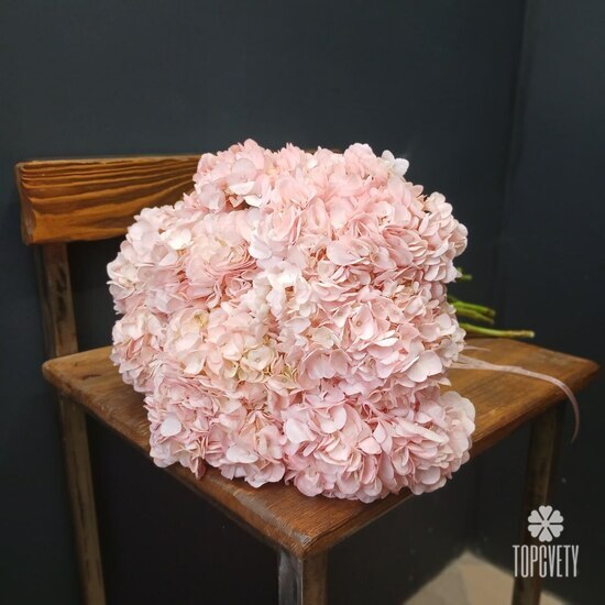 букет из 9 розовых гортензий 