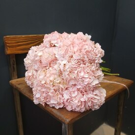 букет из 9 розовых гортензий 