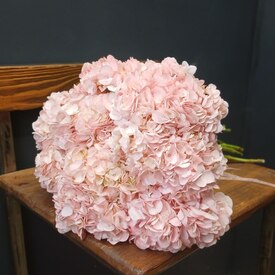 букет из 9 розовых гортензий 