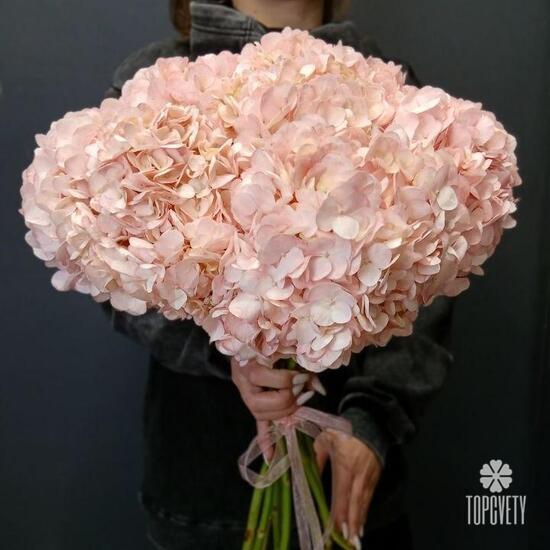 букет из 9 розовых гортензий 