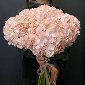 букет из 9 розовых гортензий 