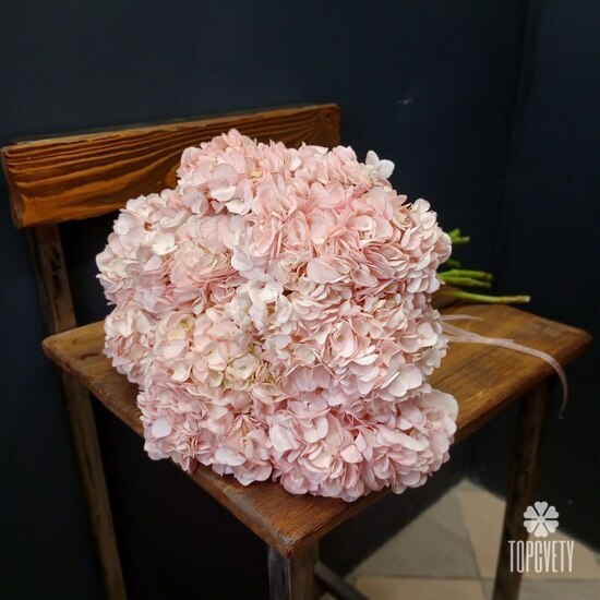 букет из 9 розовых гортензий 