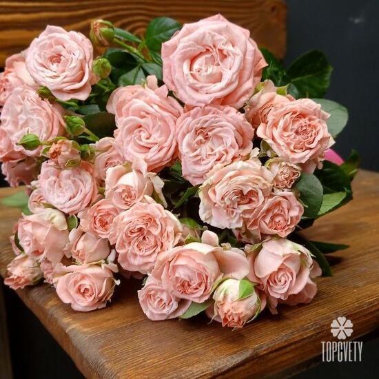 Букет из 9 кустовых пионовидных роз 50см