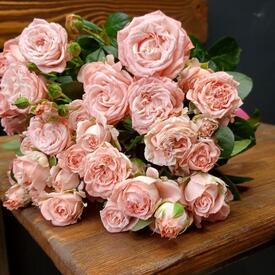 Букет из 9 кустовых пионовидных роз 50см