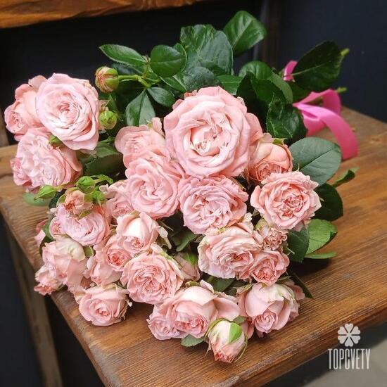 Букет из 9 кустовых пионовидных роз 50см