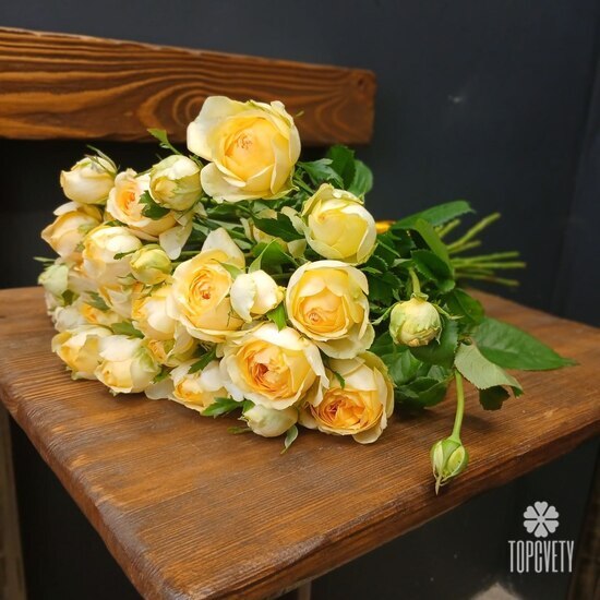 Букет из 9 кустовых пионовидных роз 50см