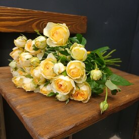 Букет из 9 кустовых пионовидных роз 50см