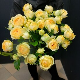 Букет из 9 кустовых пионовидных роз 50см