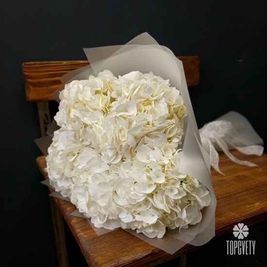 Букет из 5 белых гортензий 