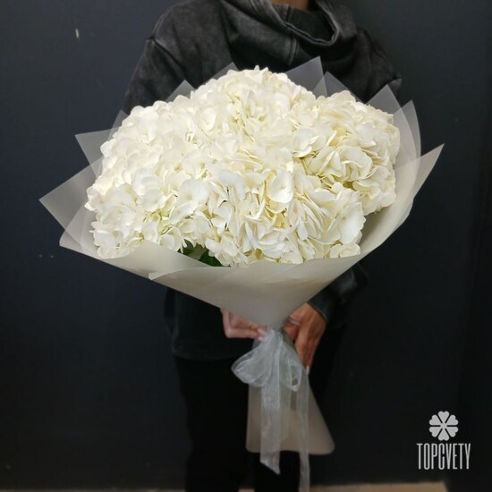 Букет из 5 белых гортензий 