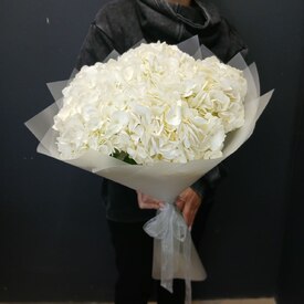 Букет из 5 белых гортензий 
