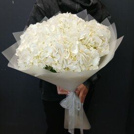 Букет из 5 белых гортензий 