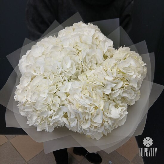 Букет из 5 белых гортензий 