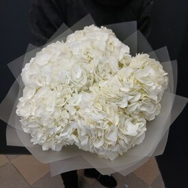 Букет из 5 белых гортензий 