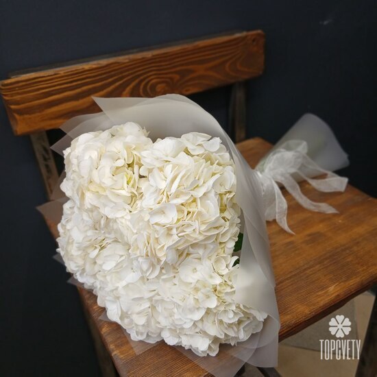 Букет из 5 белых гортензий 