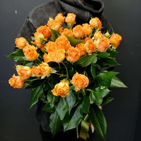 Букет из 9 кустовых пионовидных роз 50см