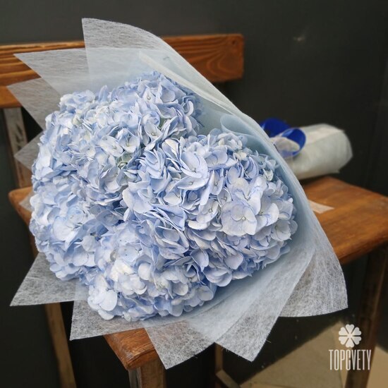 Букет из 5 голубых гортензий 
