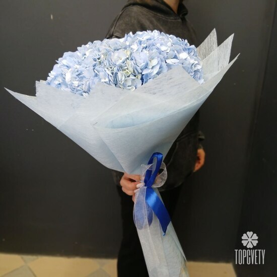 Букет из 5 голубых гортензий 