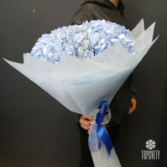 Букет из 5 голубых гортензий 