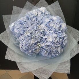 Букет из 5 голубых гортензий 
