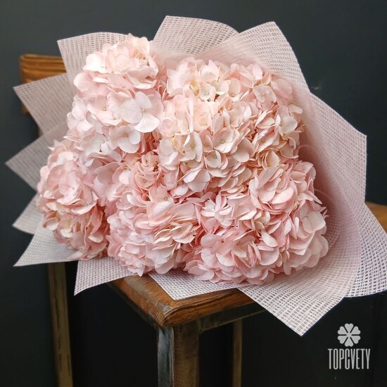 Букет из 5 розовых гортензий