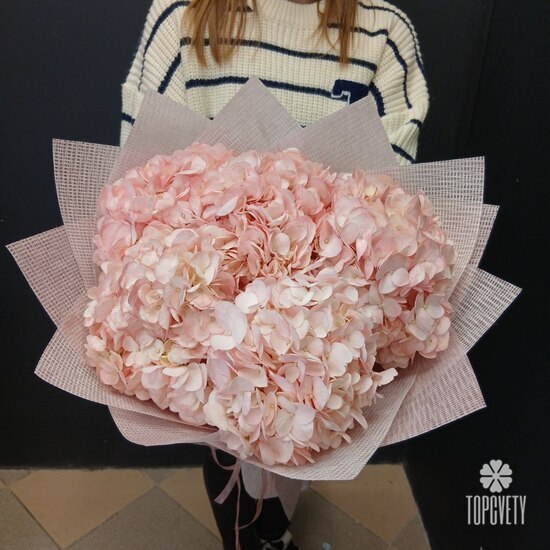 Букет из 5 розовых гортензий