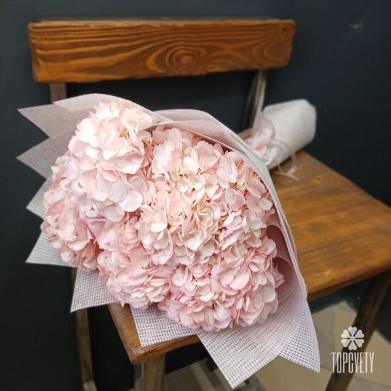 Букет из 5 розовых гортензий