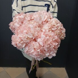 Букет из 5 розовых гортензий