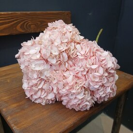 Букет из 5 розовых гортензий