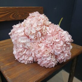 Букет из 5 розовых гортензий