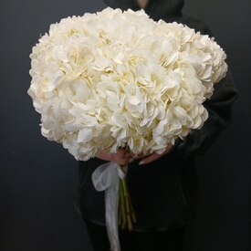 Букет из 5 белых гортензий 