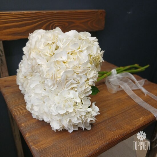 Букет из 5 белых гортензий 