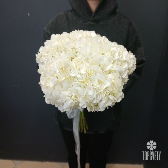 Букет из 5 белых гортензий 
