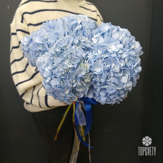 Букет из 5 голубых гортензий