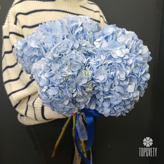 Букет из 5 голубых гортензий