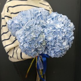 Букет из 5 голубых гортензий