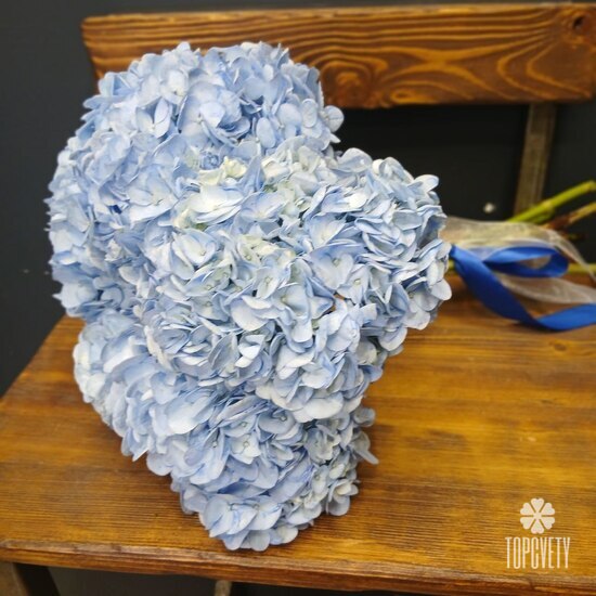 Букет из 5 голубых гортензий