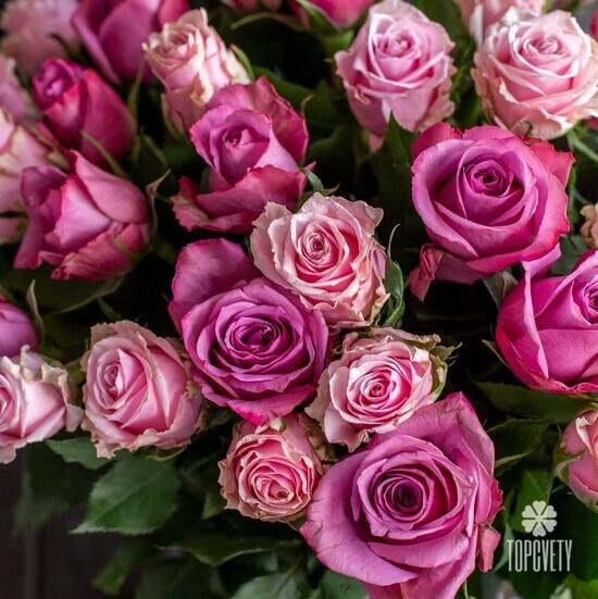 Букет из 51 розовой розы микс 50см